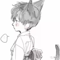 柠檬1王